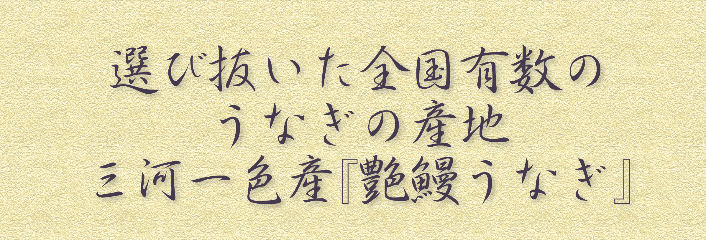 選び抜いた全国有数のうなぎの産地三河一色産『艶鰻うなぎ』